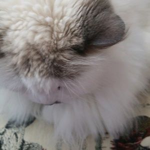 Meet your Posher, Vickie